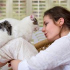 5 lucruri de stiut despre pisica ta